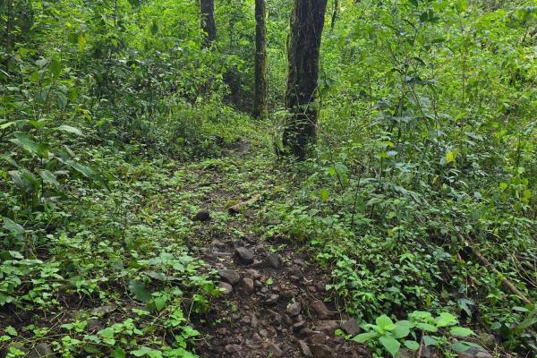Terreno de 6,9 ha junto a boquete country club — venta de globo entero