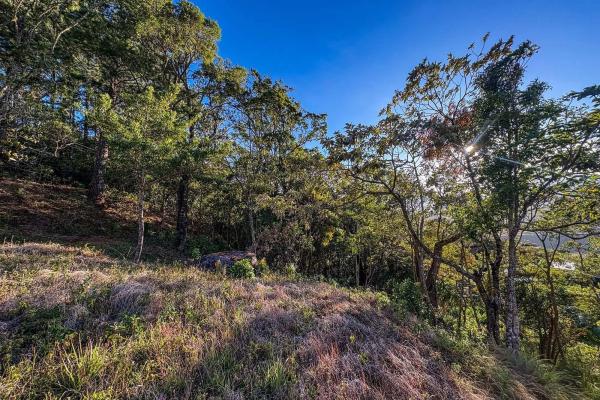 Mountain view lot for sale in jaramillo, boquete