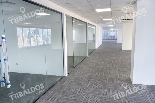 Alquiler de oficina en evolution tower