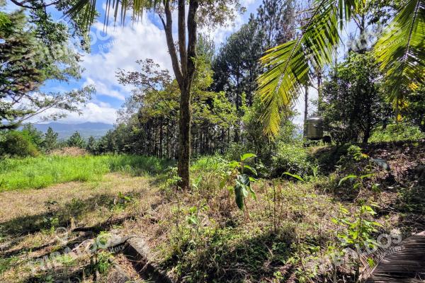 Venta de terreno en sora bejuco
