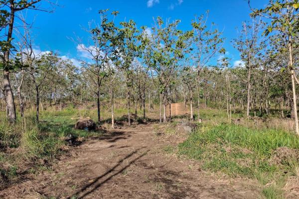 22,2 hectáreas en venta en el francés