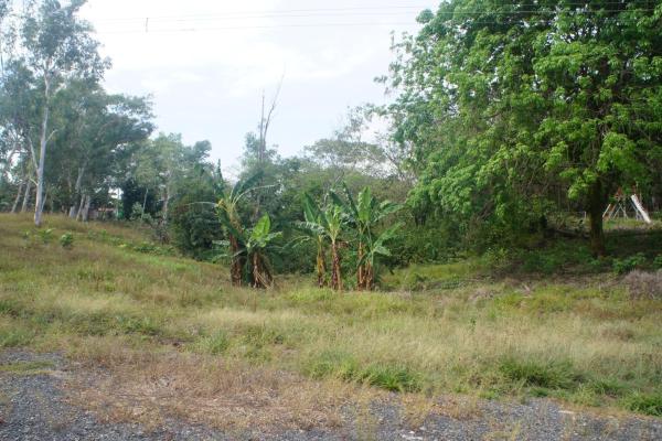 Land for sale san felix chiriqui