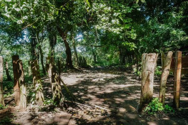 Expansive land for sale in las lomas, david