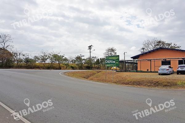 Terreno con galera en chepo