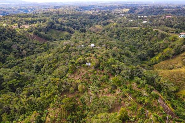 Finca cafetalera en venta en potrerillos arriba