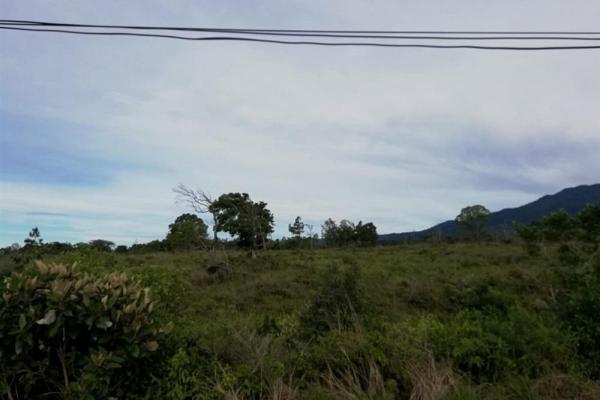 Amplios 5 hectáreas en venta en alto boquete