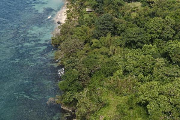 Propiedad boscosa frente al mar de 2,4 hectáreas en drago