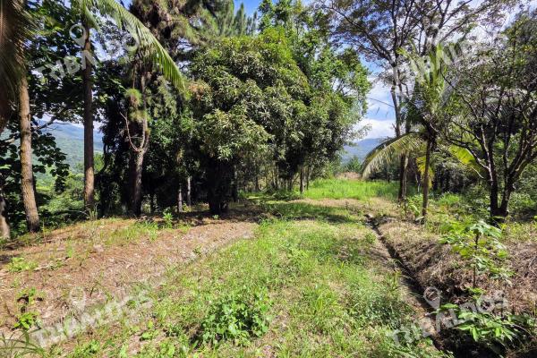 Venta de terreno en sora bejuco
