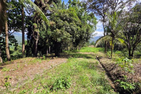 Venta de terreno en sora bejuco