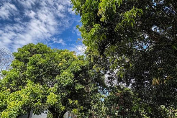 Amplia propiedad con casa y lote de 2.182 m²