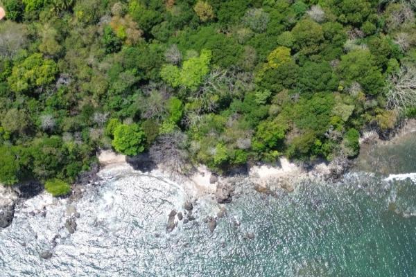 4,506 sqm beachfront lot for sale