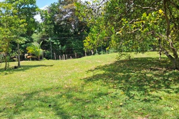 3+ ha in capira