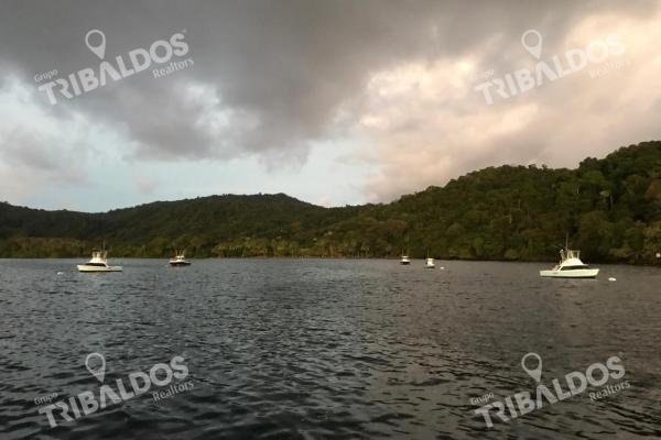 Venta de isla en panamá, isla cébaco