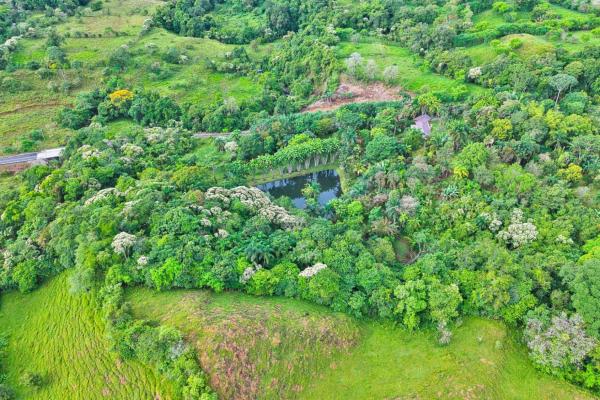 Finca residencial de 3,69 hectáreas con lagos, río y bosque.