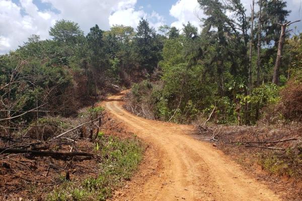 Land for sale in colon, buena vista, el giral