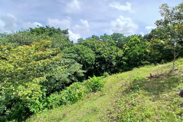 Sale of land 116 acres in san miguel, pacora river
