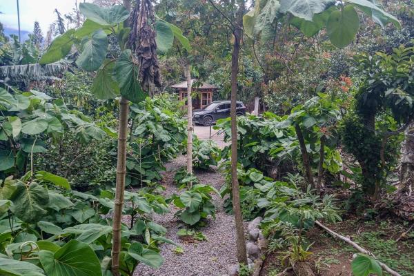 Cabaña con vistas al volcán barú en venta en jaramillo