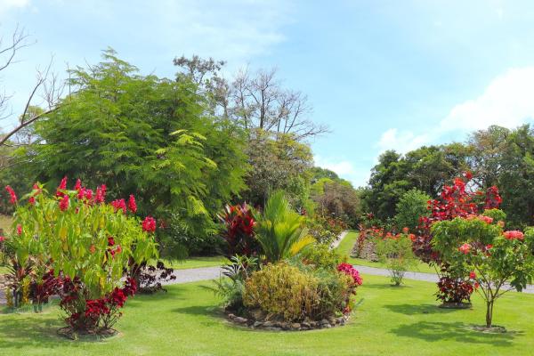 Propiedad de 3 acres frente al río con casa de huespedes