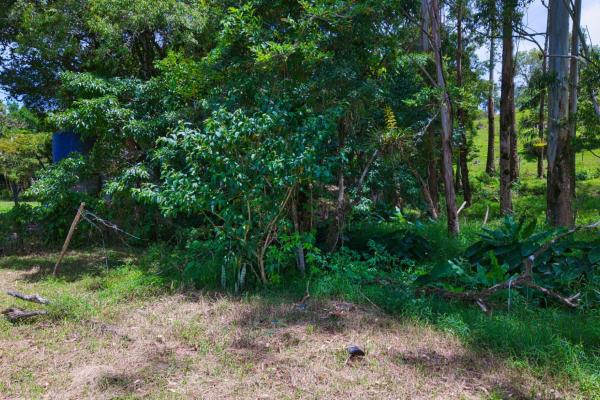 Experience the peace of volcán | land with a natural creek