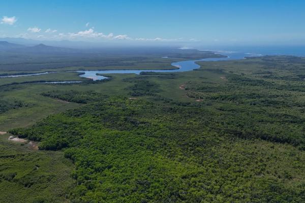 Commercial property in boca chica