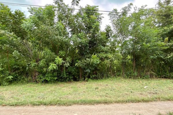 Land for sale in gorgona
