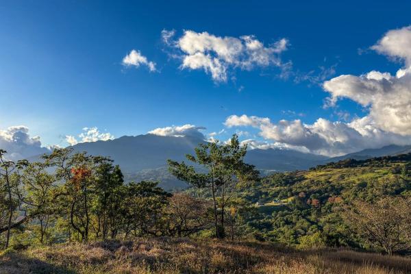 Lote con vista a la montaña en venta en jaramillo, boquete