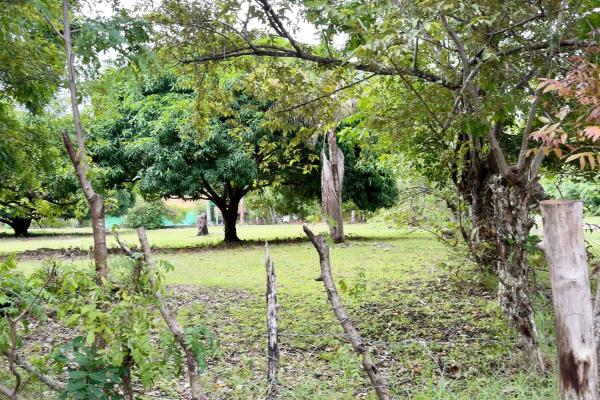 Venta de terreno en gorgona