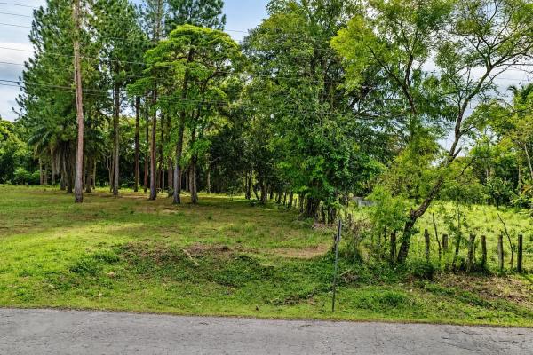 Se vende terreno de 1.9 hectáreas en potrerillos arriba