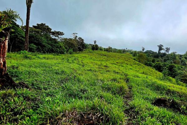 96.10 hectare in boquerón, las monjas