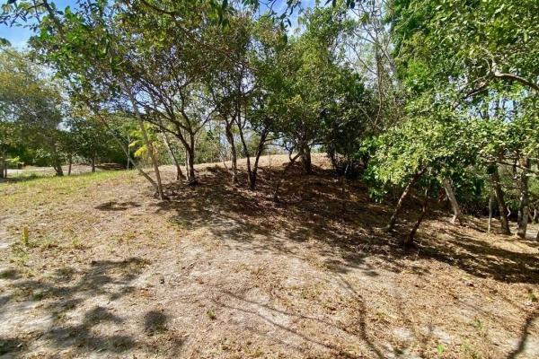 Finca de 4.3 hectareas – proyecto ideal comunidad