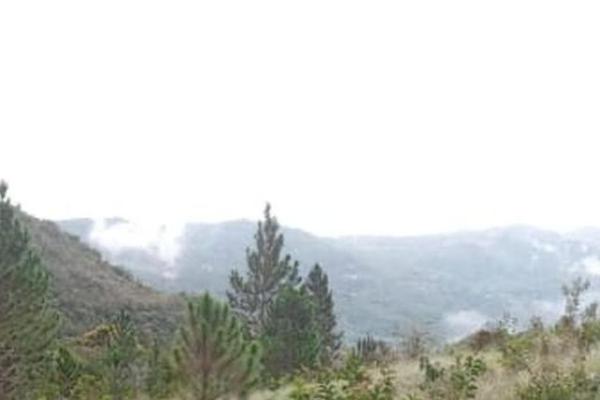 22 hectares within altos del maria with views