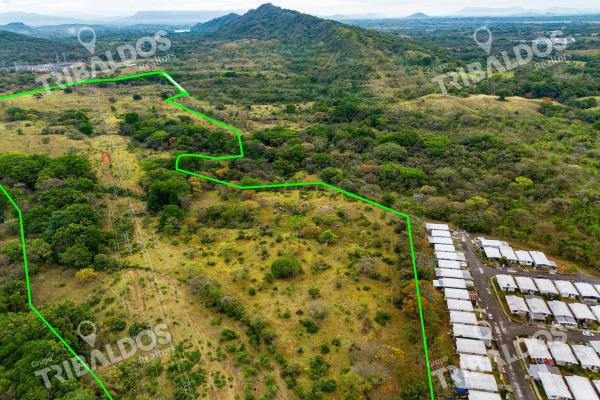 Land for sale in david, chiriquí