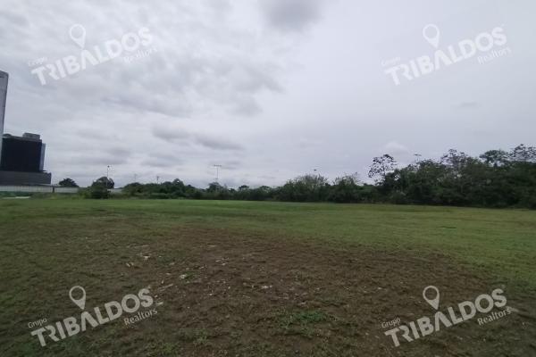 Venta de terreno en santa maria business district