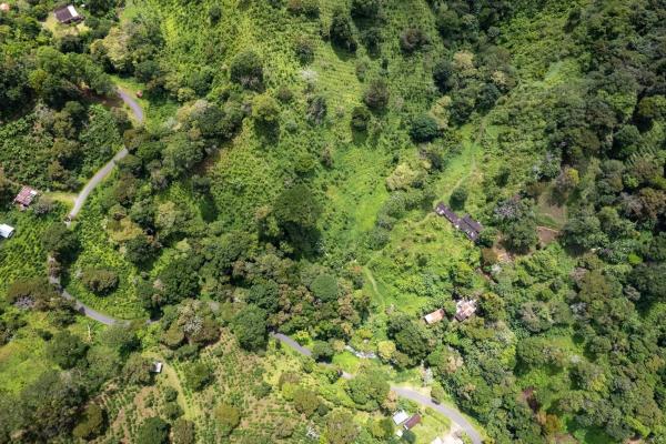 12 plus - ha producing coffee farm in boquete