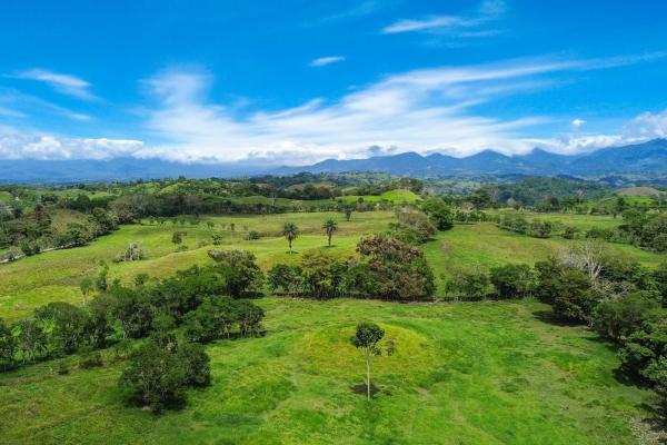 Expansive 146.652 ha property with water sources