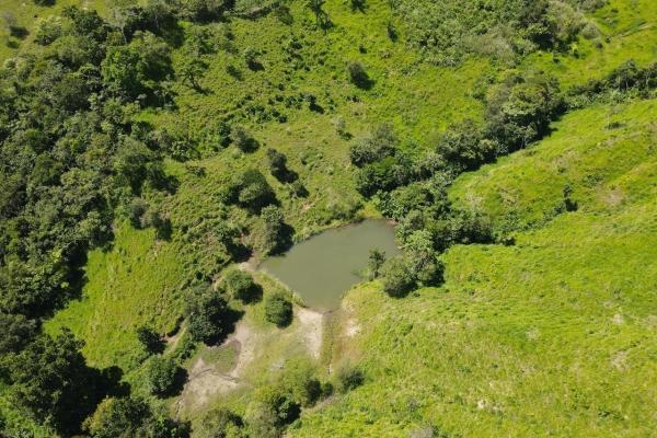 Finca 144 hectareas