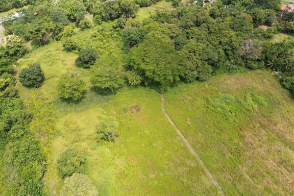 +9 hectares of flat beachfront land for sale