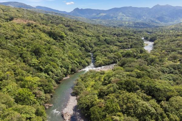 Finca autosuficiente de 10 ha en venta cerca de boquete