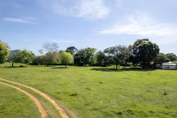Four hectare property for urbanization in david