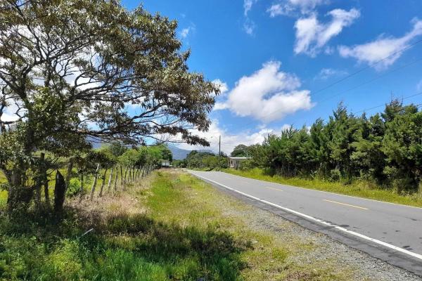Flat road-front lot for sale in volcan