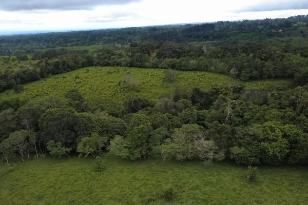 Finca con tierra negra, pasto, clima fresco y bien ubicada.