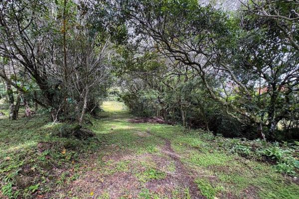 Spacious 9,229 m² flat lot in alto boquete