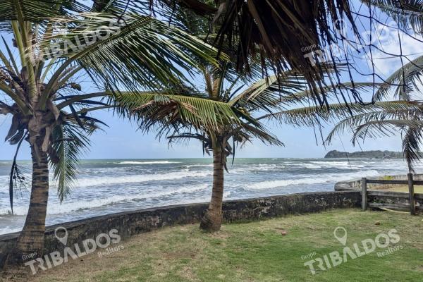 Sale of a beachfront house in palenque, colon.