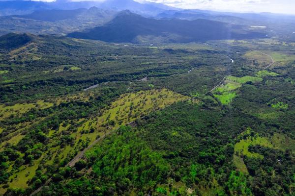 10 hectares for sale in caldera boquete