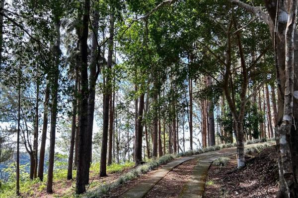 10ha estate in sorá with forest & waterfall!