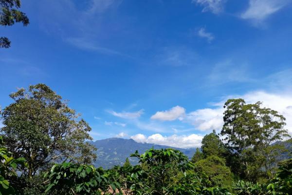 Premium home building lot in las terrazas –boquete
