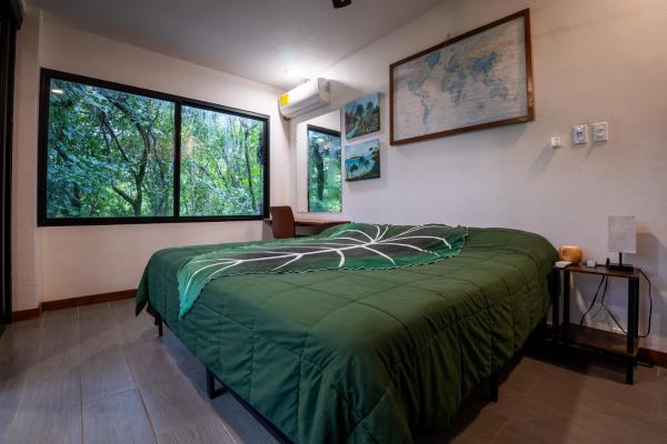 Beautiful modern jungle home for sale in morrillo