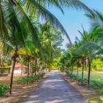 Spectacular country houses in chame coronado.