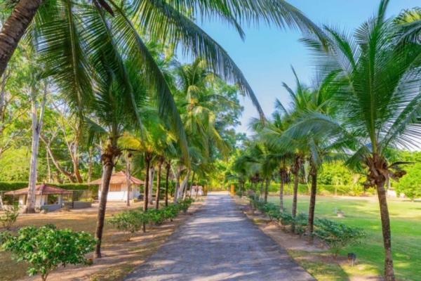 Spectacular country houses in chame coronado.