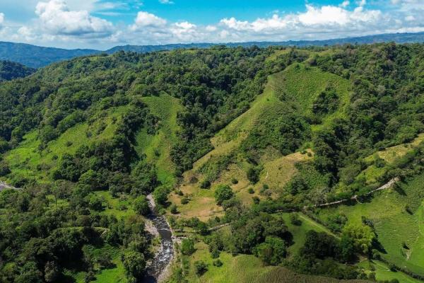 Amplia propiedad de 146.652 ha con fuentes de agua